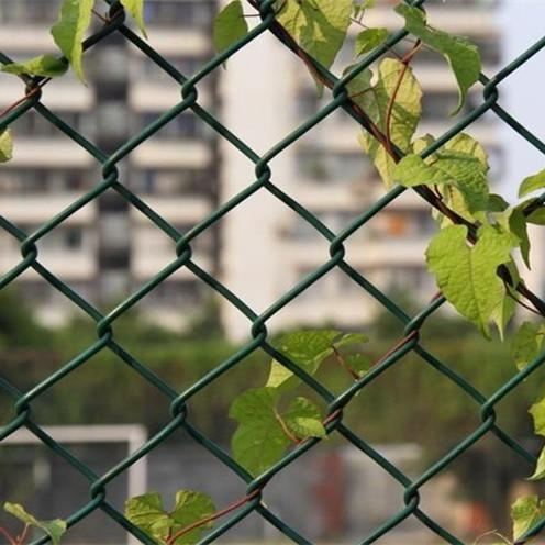 PVC Green Chain Link Fence (HP-CLF02)