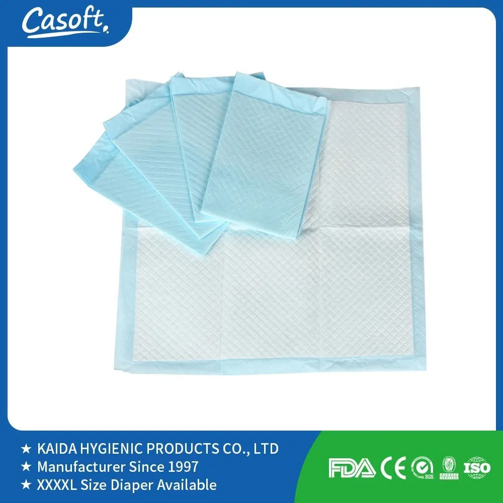 Wholesale Casoft Leak Proof 60X90 Large Dog Pads XL 6 Players Disposable Puppy Training Pet Poop Pad Pet Supplies PEE Pad Philippines Russia China Us Malaysia
