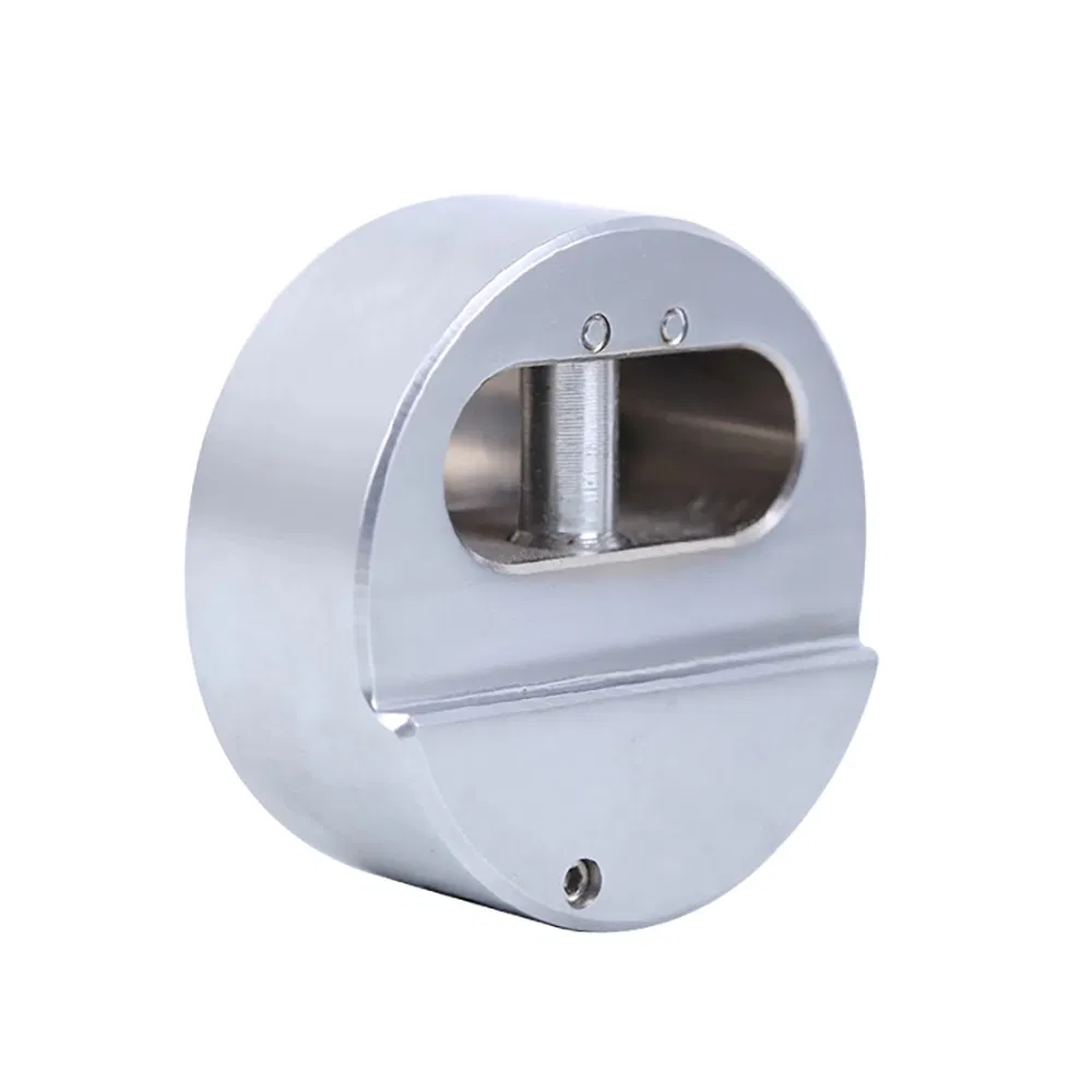 Puck Shackleless Stainless Steel Lock Van Lock