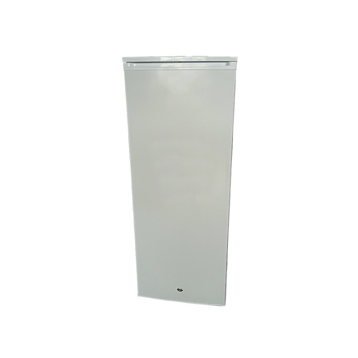275L 12V Vertical Deep Upright Refrigerator with Drawer