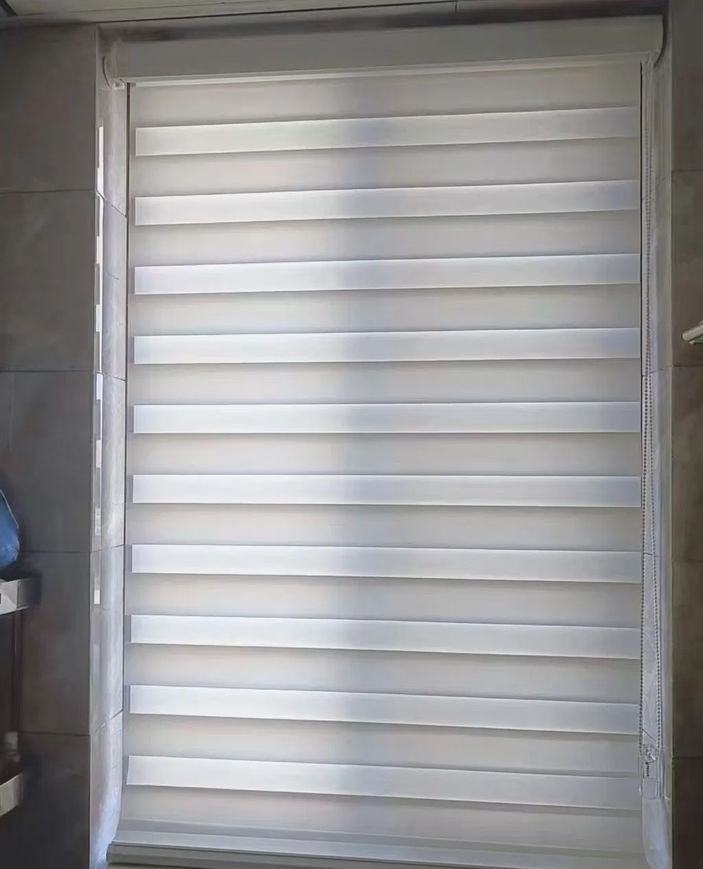 Polyester Zebra Blind Fabric and Ready Made