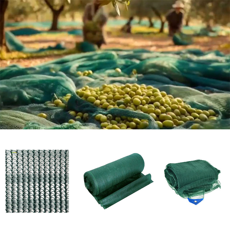 Plant Netting for Garden Fruit Collector Harvesting Net with CE