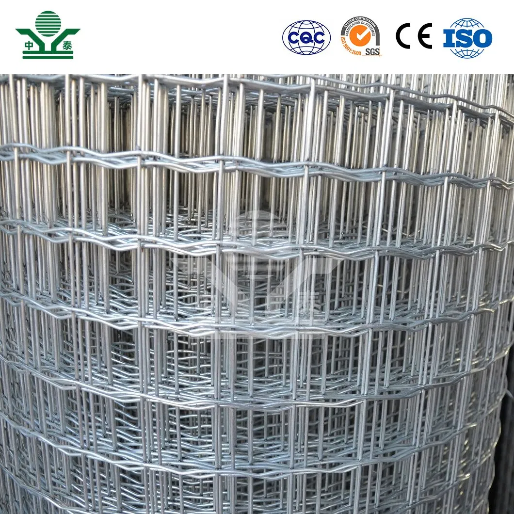 Zhongtai Holland Garden Fencing China Suppliers Holland Corrugated Wire Mesh 76.2 X 101.6mm Mesh Holland Wire Fence
