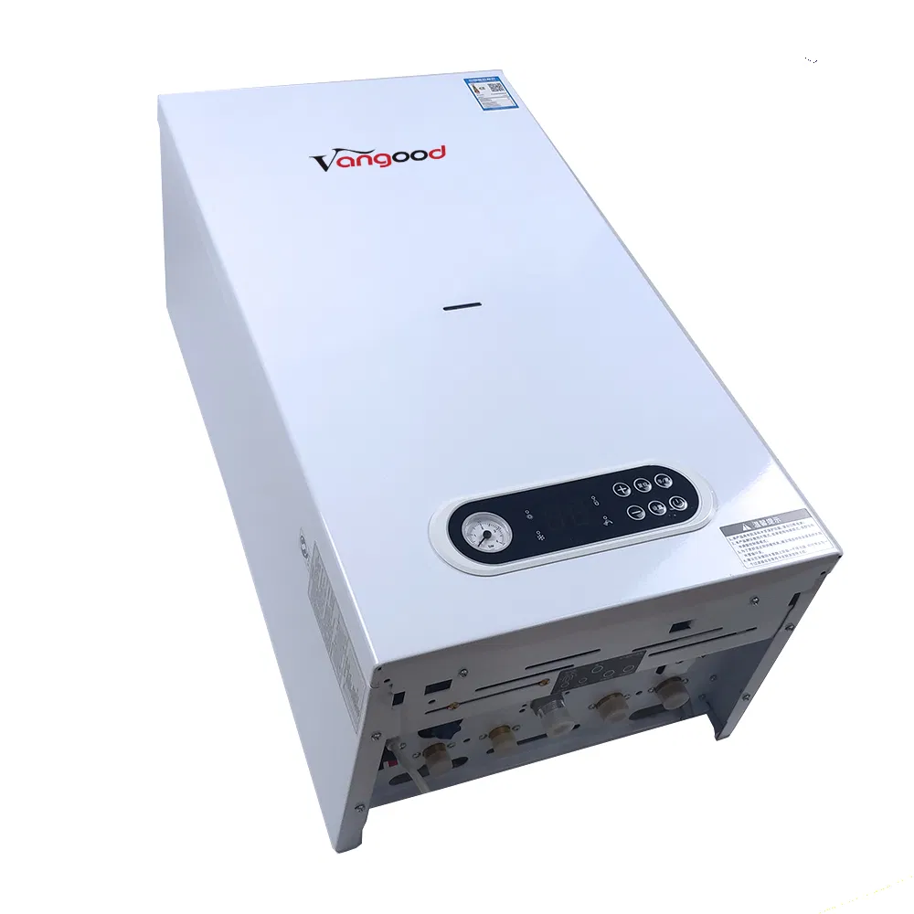 Popular Russian Wall Hung Gas Boiler for Central Heating and Hot Water