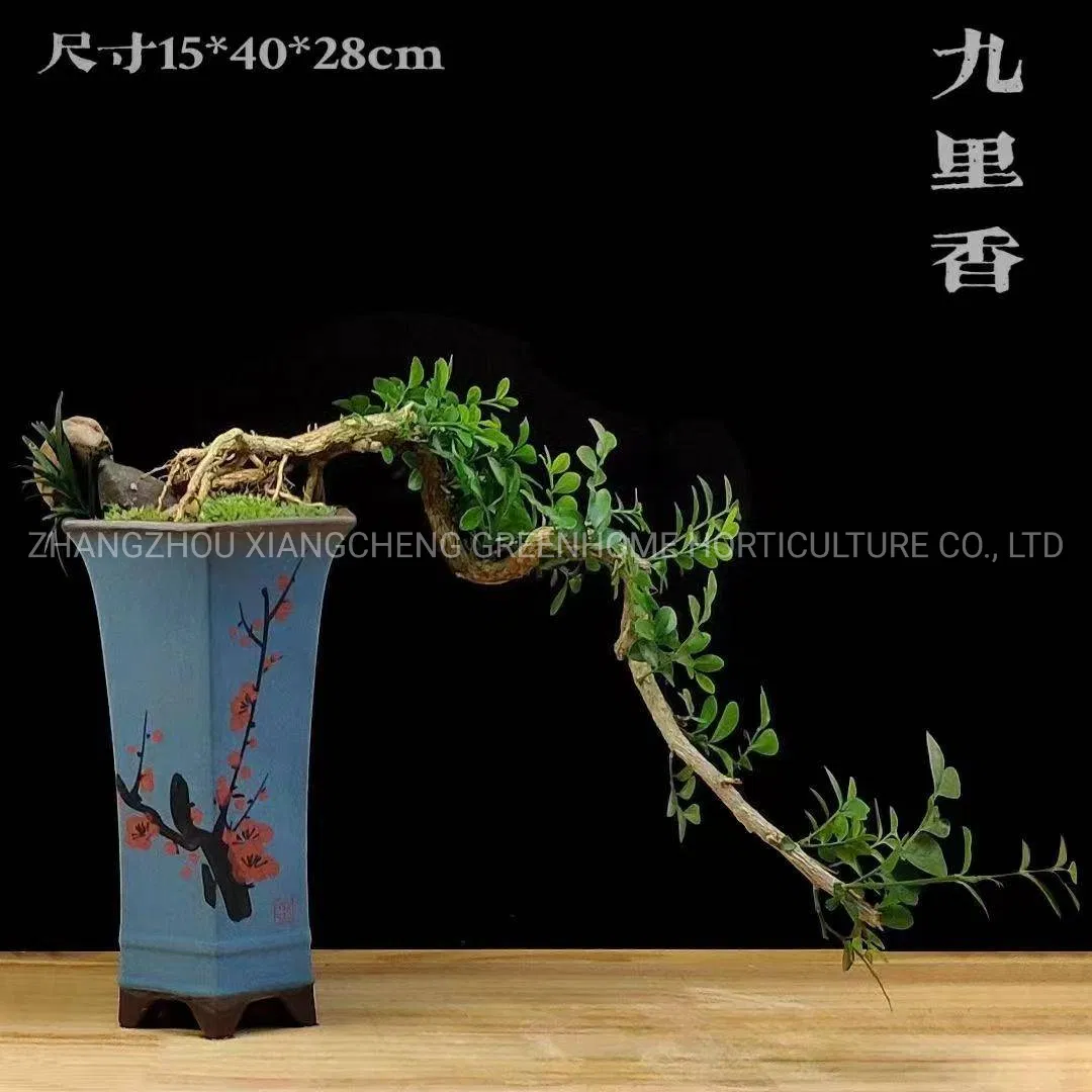 Ceramic Flower Pots Garden Ornaments Pottery Pot
