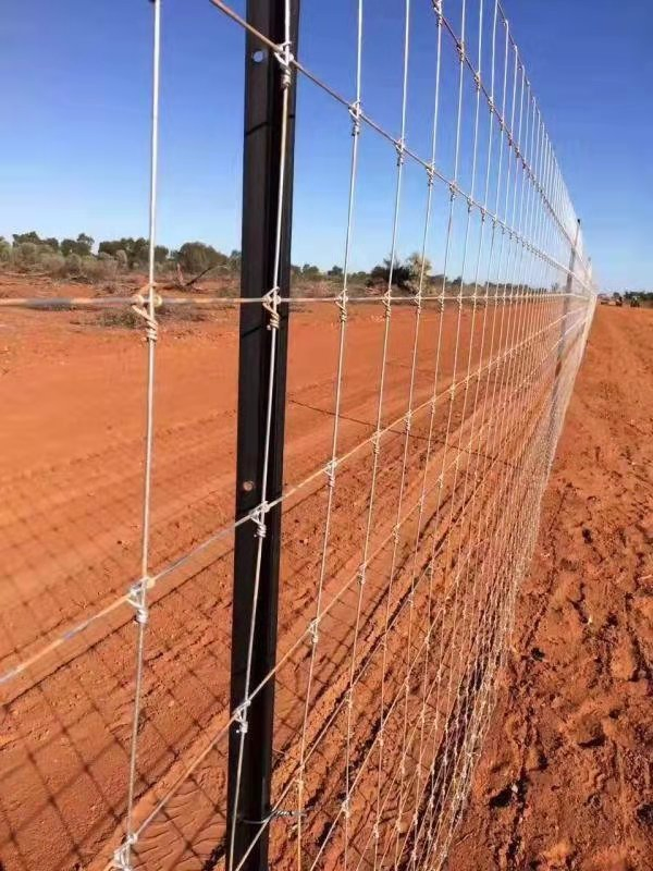 Wholesale Cattle Wire Mesh Fence Galvanized Grassland Fence