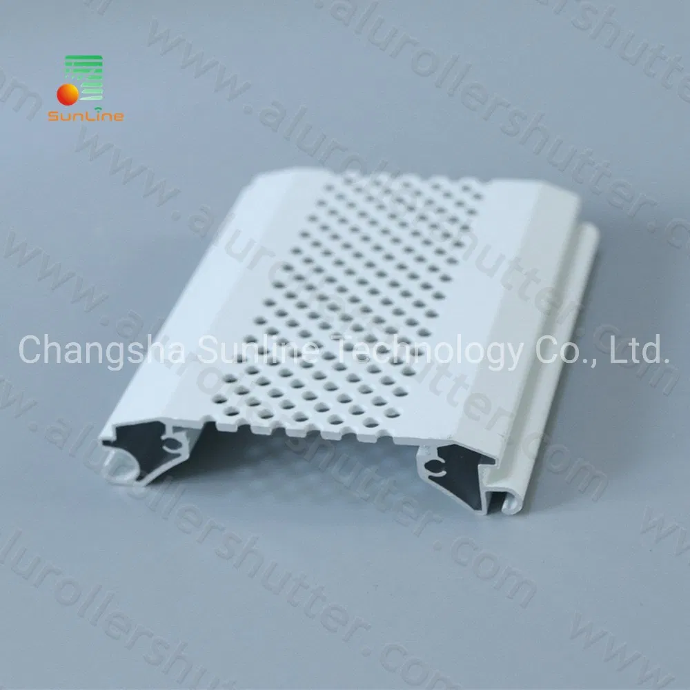 77mm Slat with Nice Honeycomb Hole Design for Shop Door