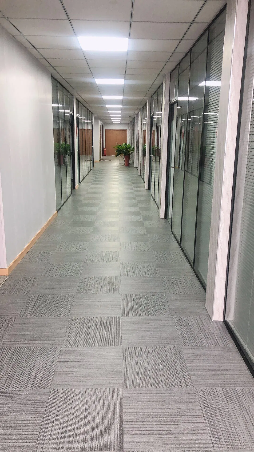 Easy Installation Prefabricated Steel Building for Apartment and Office