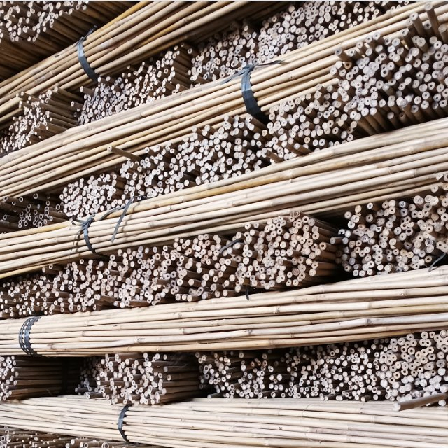 Tonkin Bamboo Poles Used for Building Garden or Farms/Bamboo Cane