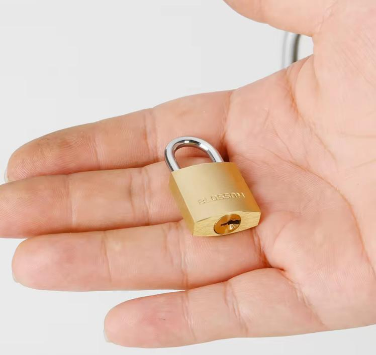 Plastic Cover Water Proof Padlock/Hardware Padlocks of Various Models