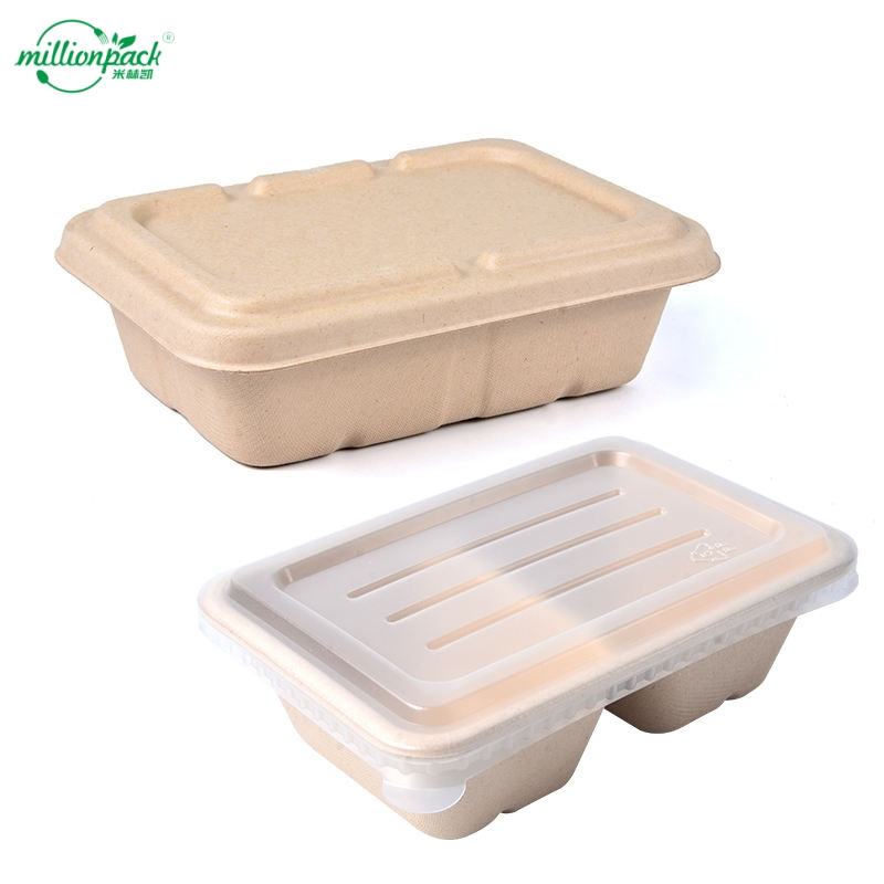 Disposable Bagasse Clamshell for Burgers Sandwiches and Street Food
