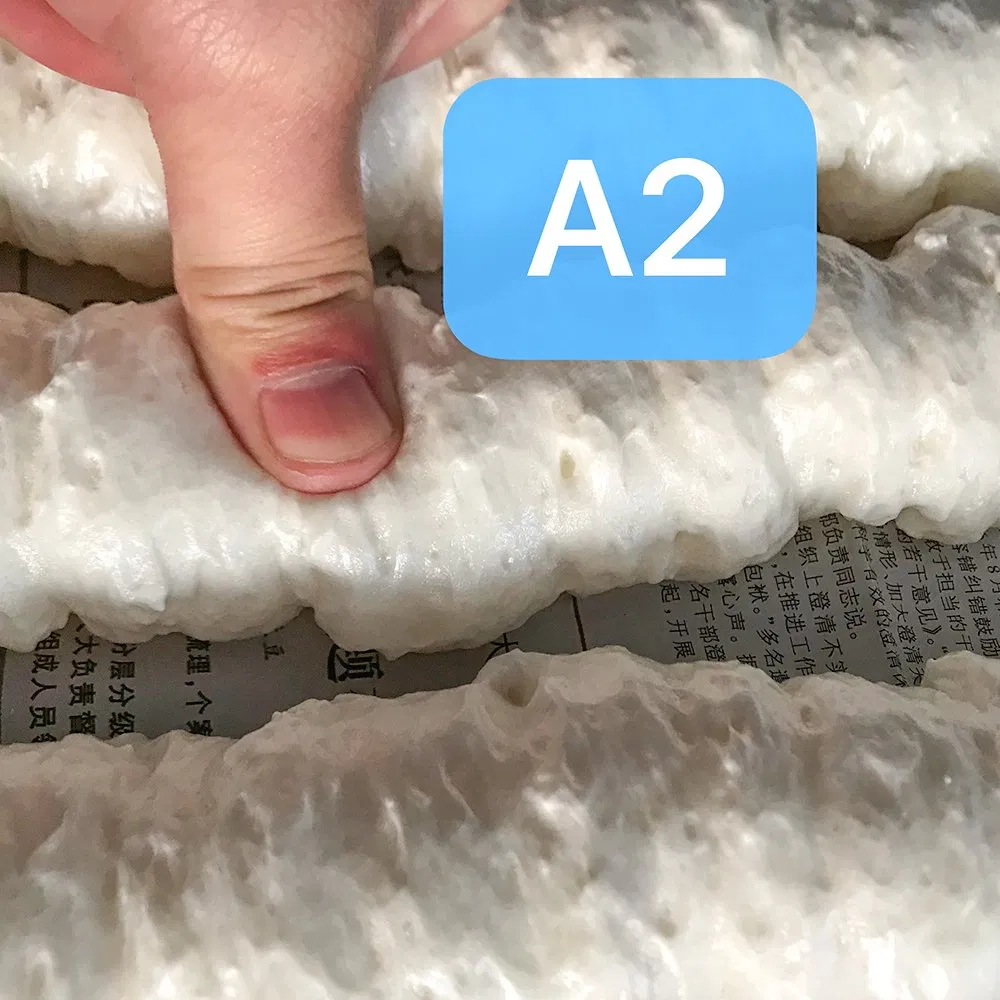750ml Weather Resistant New Strong Adhesion PU Foam for Building