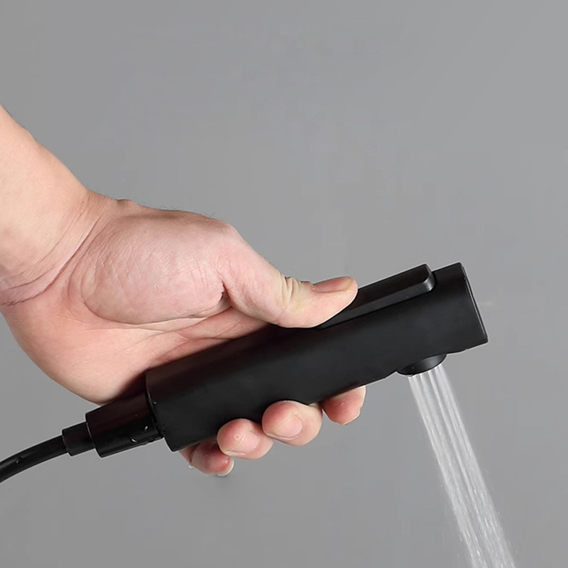 Toilet ABS Plastic Matt Black Gold Brushed Douche Shower Water Hand Bidet Spray