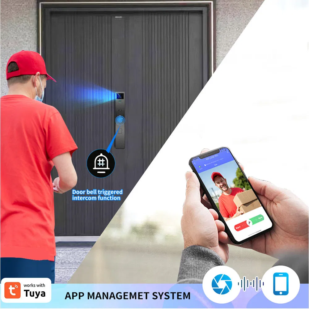 Leading Enterprises Video Call Integration Smart Lock for Luxury Villa