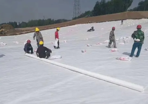 Water and Power Engineering Special Needled Nonwoven Geotextiles Filled with Black Filter Mesh Composite Drainage Network