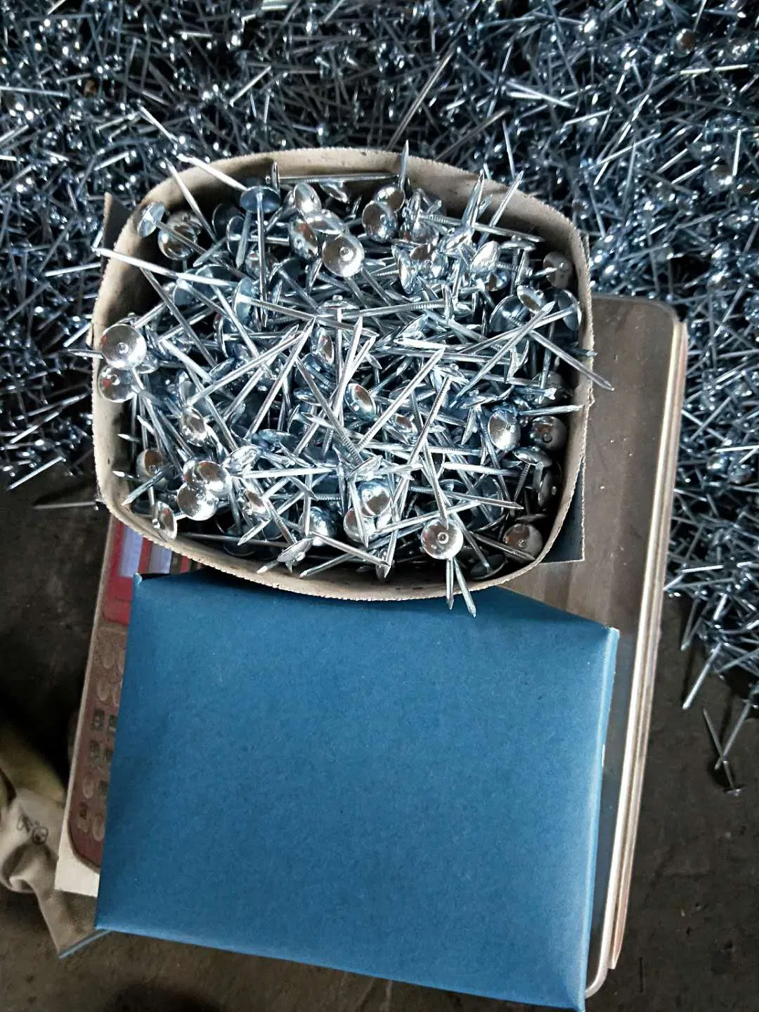 Competitive Price Umbrella Head Roofing Nails