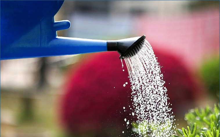 Seesa 10L Plastic Garden Household Water Pot Watering Can (SX-610-100)