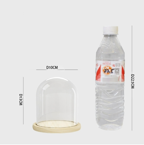 Clear Borosilicate Cloche Bell Jar Dome with Wooden Base Lid Custom Shape