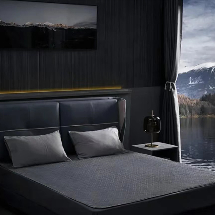Cozy Electric Blanket with Advanced Water Cycle Heating Blanket, Heat Rugs Heated Mattress, Electric Heat Blanket
