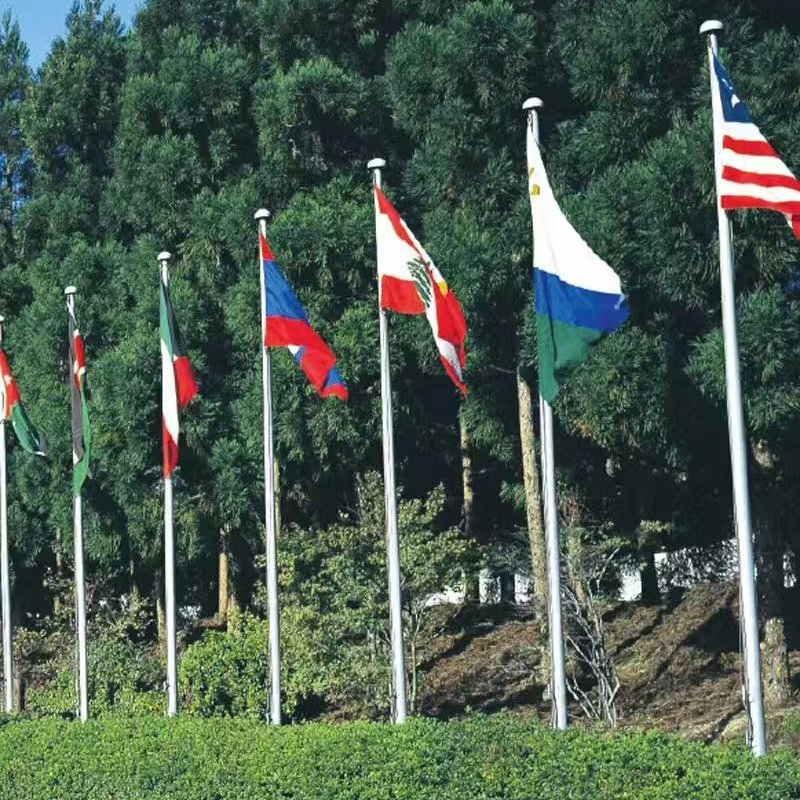 Hotel Hall Decoration Flagpole Indoor Telescopic Flagpole Retractable Flag Pole