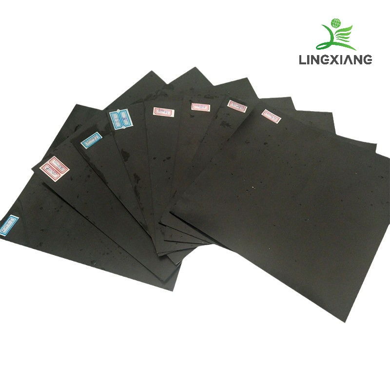 Durable Biogas Waste Geomembrane for Agricultural Pond Applications Dam Landfill Lake Biogas Mining Fish Shrimp Farm Pond Liner Swimming Pool Agricultural Agric