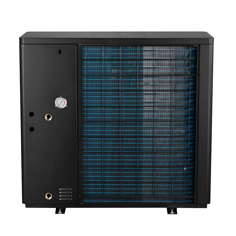 Multifunctional R290 DC Inverter Heat Pump for House Heating Cooling Hot Water