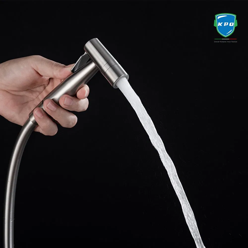 Stainless Steel Shattaf 2-Function Bidet Sprayer