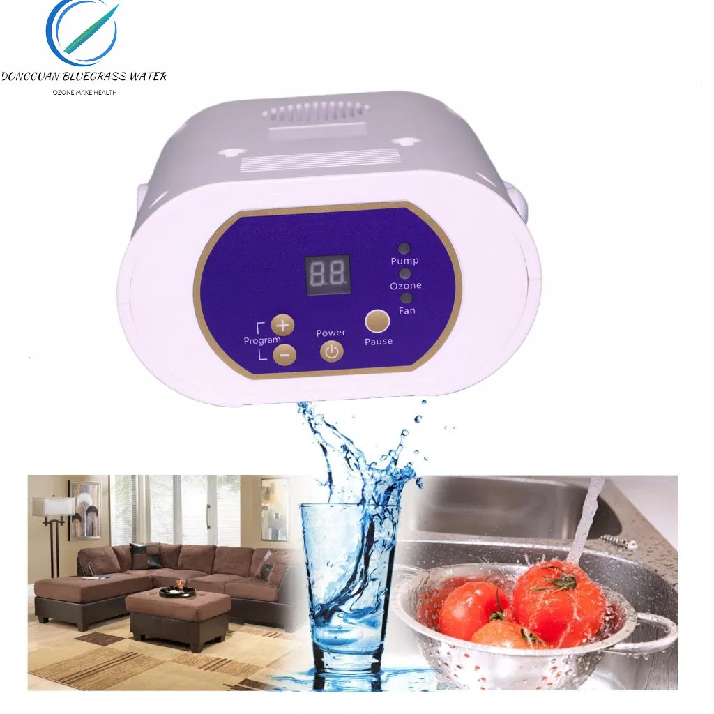 Multi-Function Ozone Generator Household Food Purifier