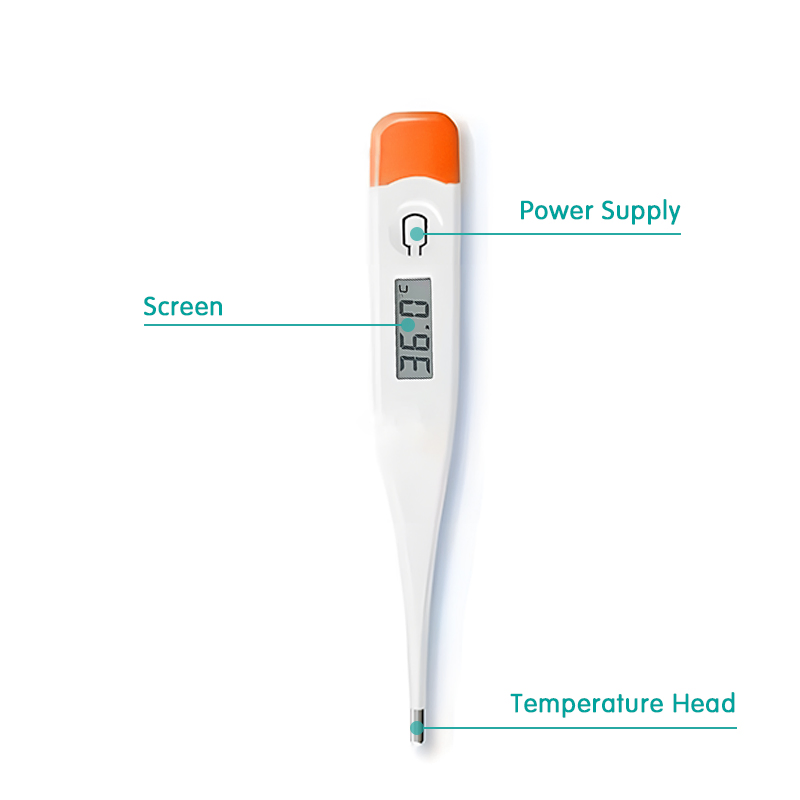 Popular LCD Display High Accuracy Mini Thermometer for Kids