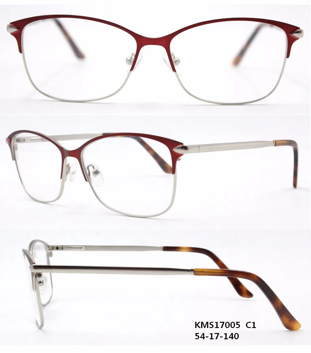 Hot Selling High Quality stainless Steel Frame Rubber Tip Classical Frame (KAS17005)