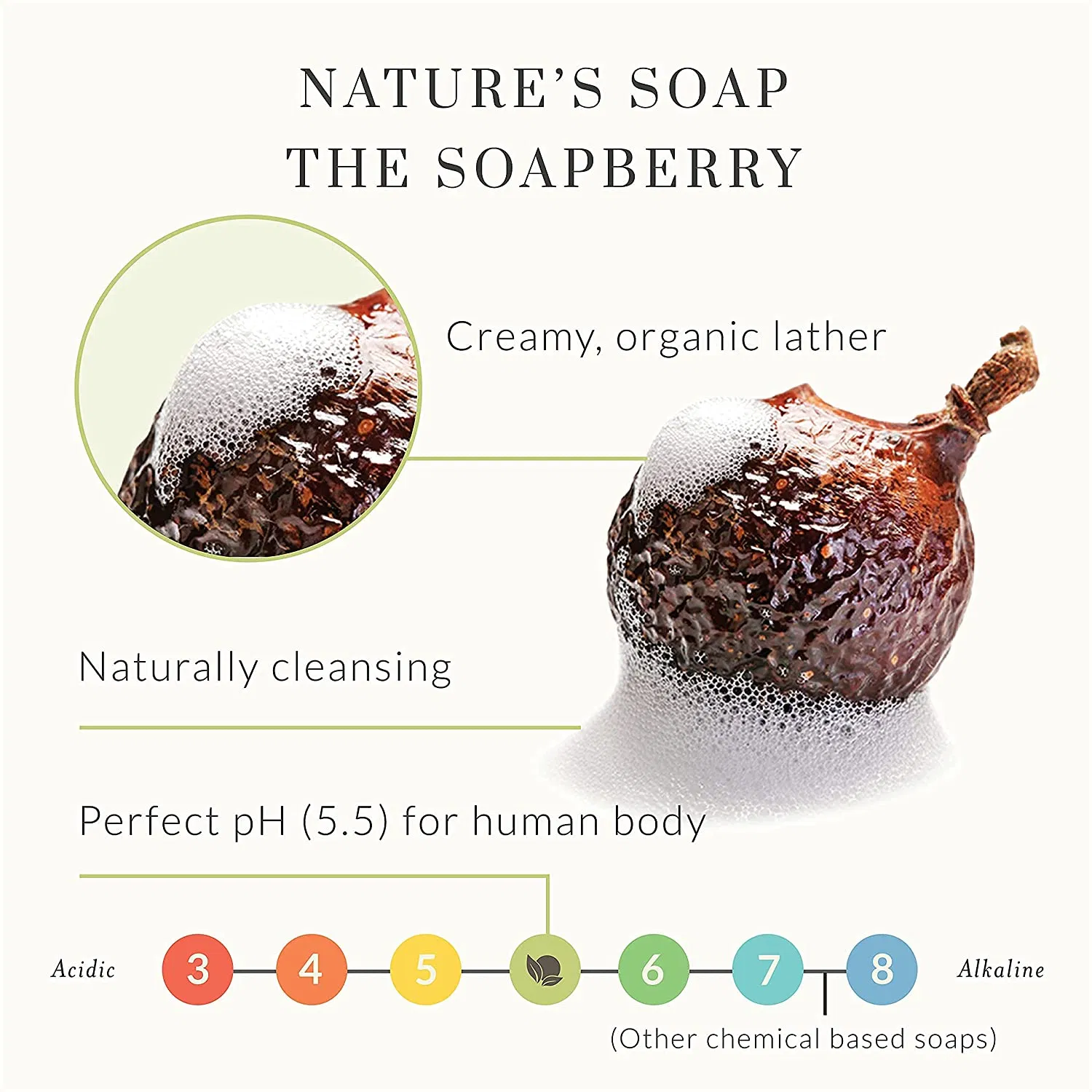 Wholesale Antioxidant-Rich Body Wash Nourish & Soften Skin Shower Gel