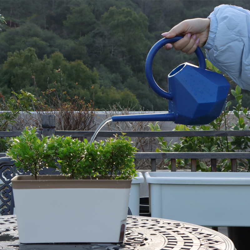 Garden Accessories Wholesale Modern Plastic Diamond-Shaped Watering Can 1.5L