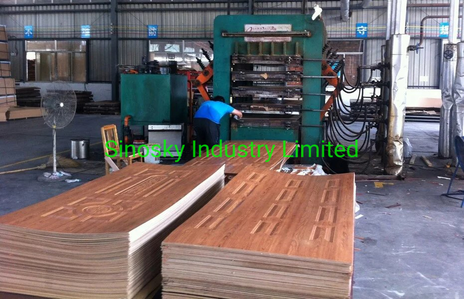Moulded Door Skins and Door