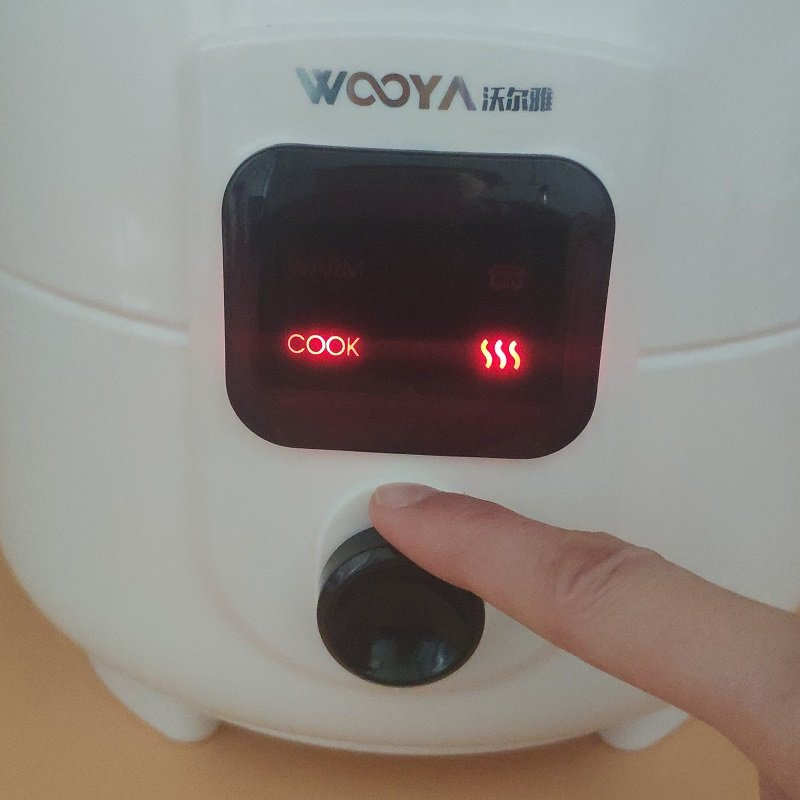 Hinged Locking Lid Electric Rice Cooker and Steamer for Perfectly Cooking