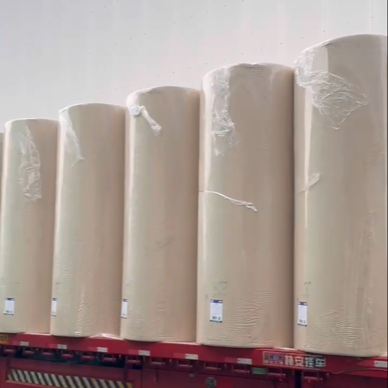 Bamboo Pulp White or Other Tree Free Raw Material Jumbo Roll