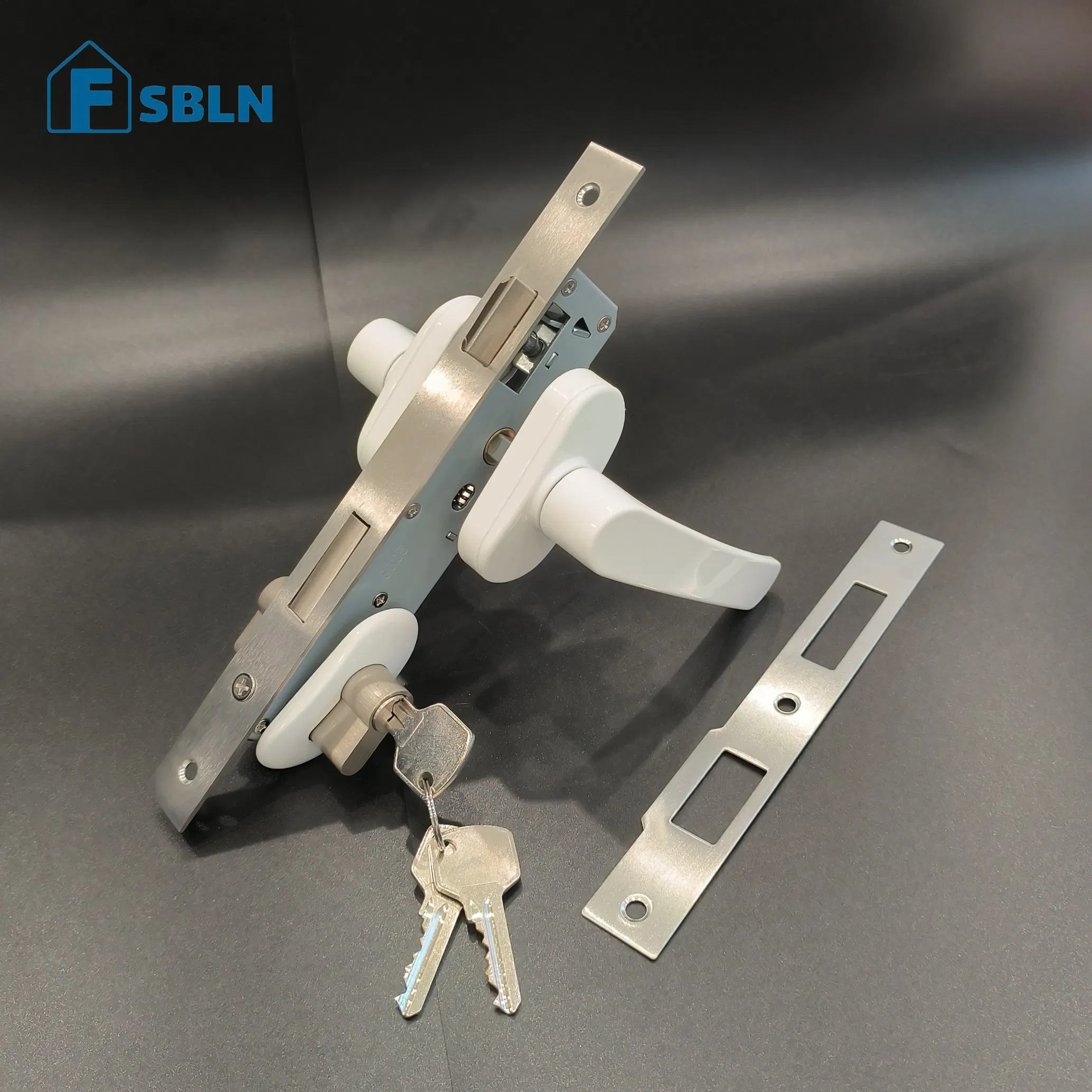 Euro Mortice Locks Lock for Sliding Door Bln Security Cylinder Door Locks Mortise Door Handle Lock