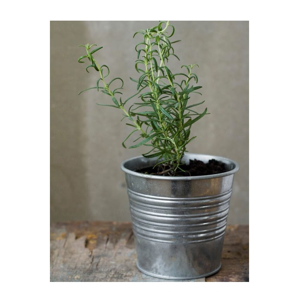 Кашпо металлические декоративные для сада