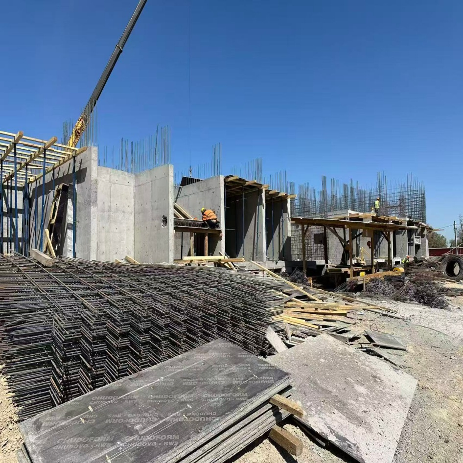 Wangzu High Quality ABS Plastic Injection Formwork for Construction