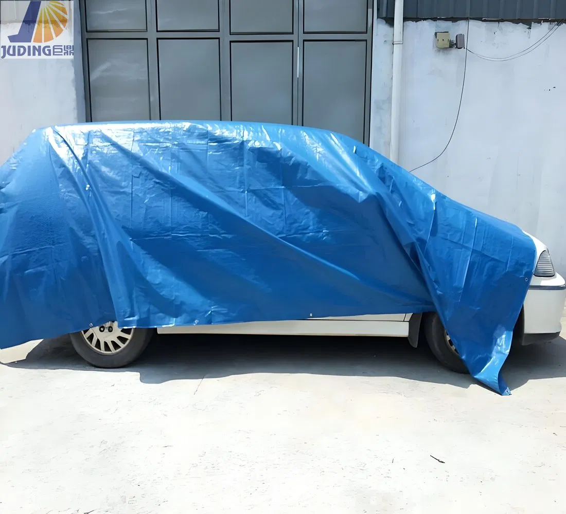Tarpaulin Manufacturer Standard Quality Affordable Price PE Tarpaulin