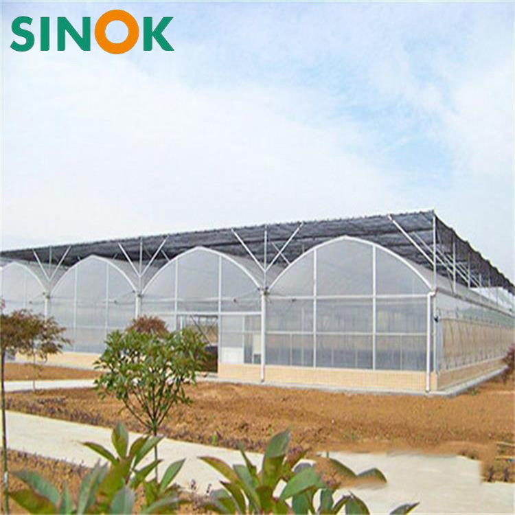 Agricultural Greenhouses Used for Vanilla Cultivation