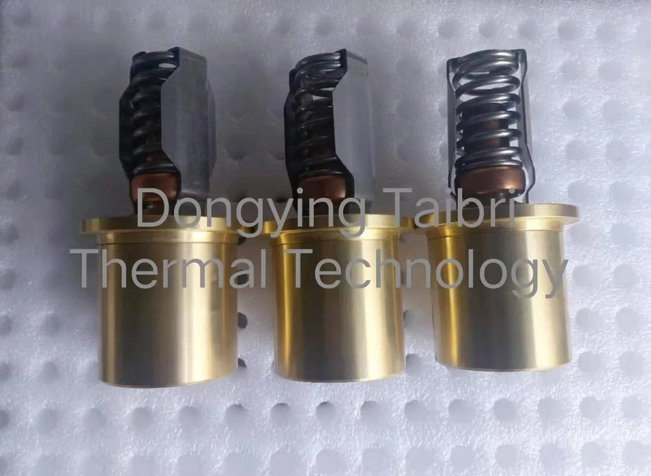 Taibri G1/8 Welding Solenoid Valve 0~0.8MPa for Electric Magnetic Valve Solenoid Valve
