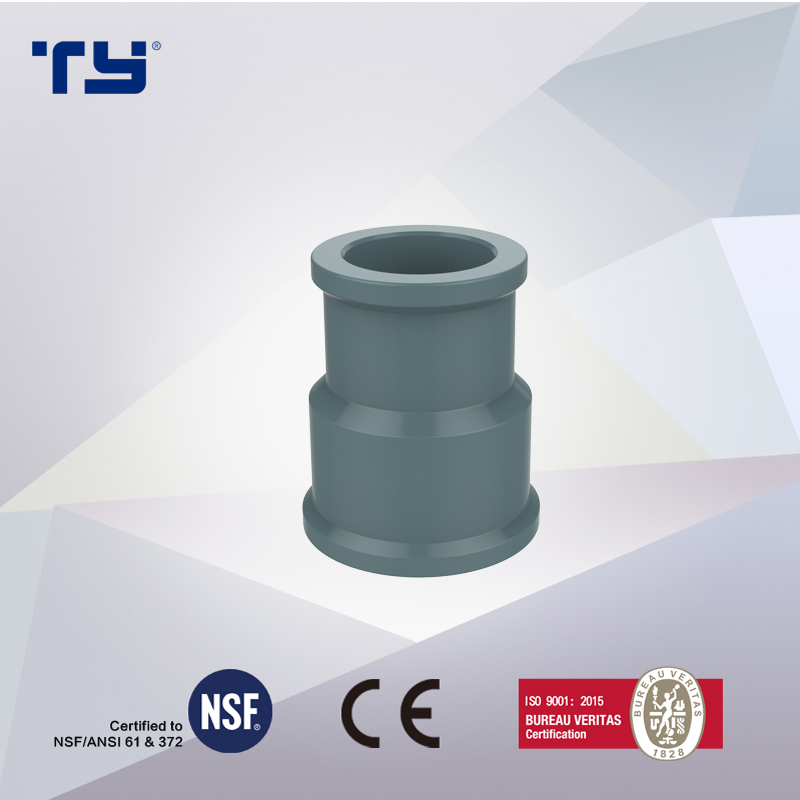 Back Nut of PVC Water Supply Pressure Pipe Fitting DIN Standard NBR5648