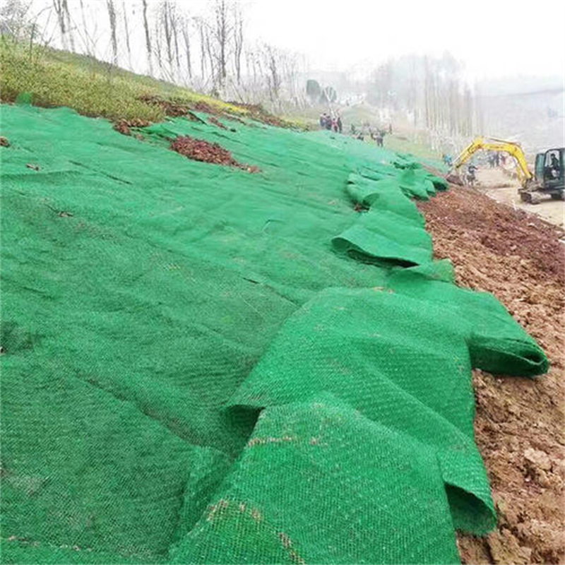 3D Erosion Control Geomat Three-Dimensional Reinforced Mat for Slope Stabilization and Environmental Protection