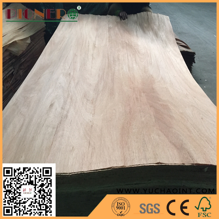 A Grade Rotary Cut Natural Gurjan/Keruing Veneer for India Market