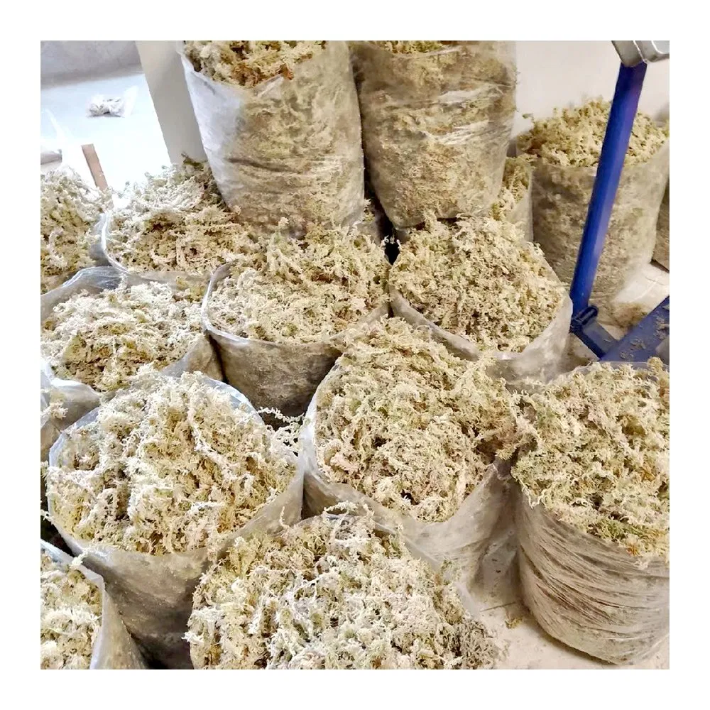 Factory Supplier 10kg/Bag Dried Sphagnum Moss for Farm Hacienda Flowers Base Potted Reduce Pests and Diseases