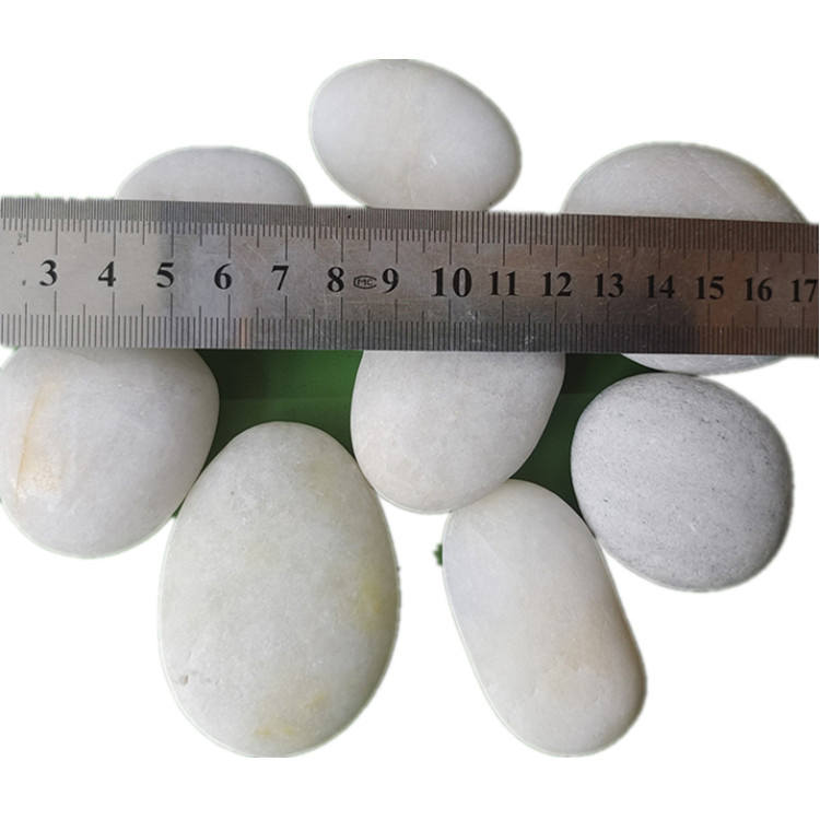 Natural River Pebbles Children Loved Handcraft Animal Painting Drawing Pebbles
