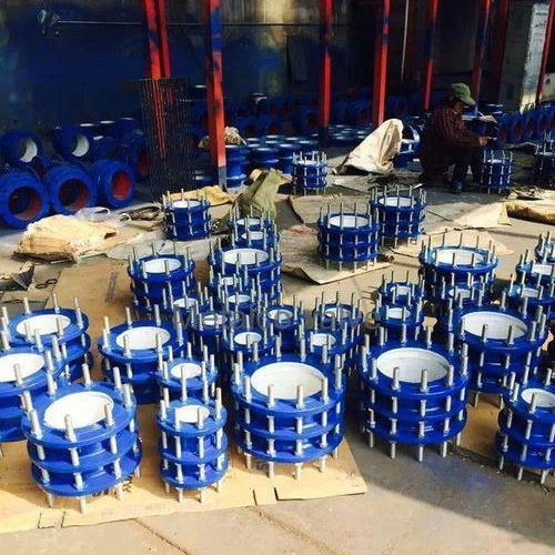 DN65-DN3200 Carbon Steel Cast Iron Double Flange Force Transfer Flexible Dismantling Joint