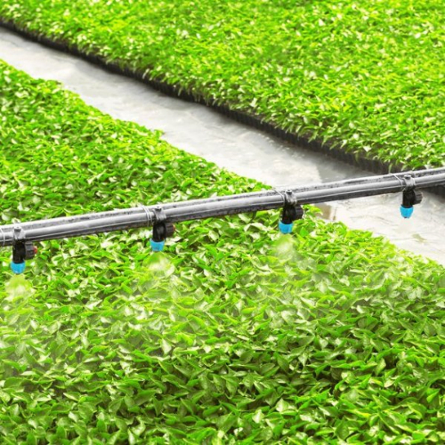 150mic -250 Mic Zigzag Vegetables Farden Warm Agro Multi Span Flower Greenhouses