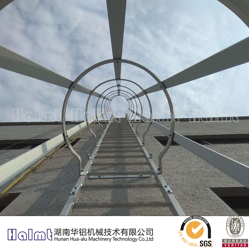 Aluminum Vertical Ladder with Protection Cage