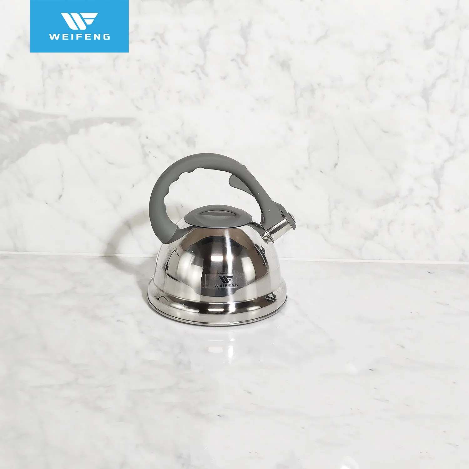 10PCS Stainless Steel Cookware with Grey Silicone Ss Handle